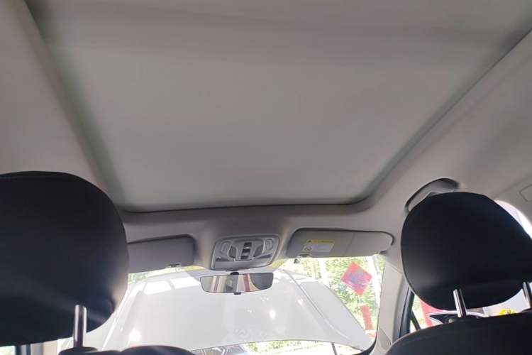 Used Roewe RX5 MAX 2022 1.5T Automatic Youwei Luxury Edition Headliner