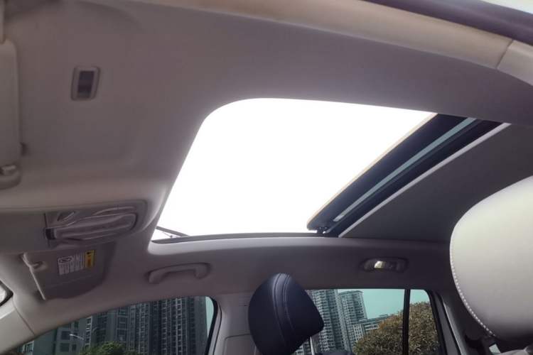Used Roewe RX5 MAX 2022 1.5T Automatic Zhiwei Prestige Edition Headliner