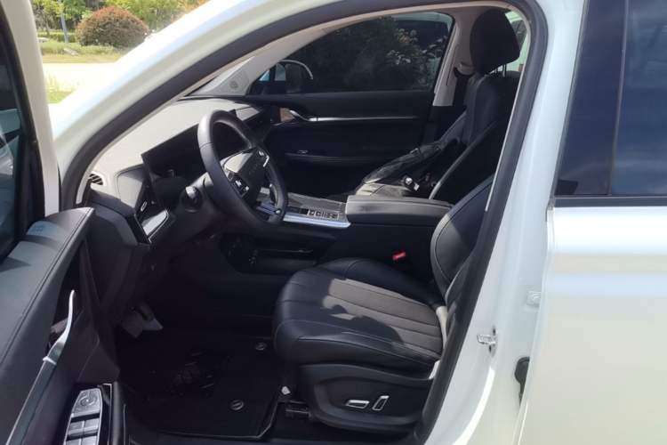 Used Roewe RX5 MAX 2022 1.5T Automatic Zhiwei Prestige Edition Left Front Seat