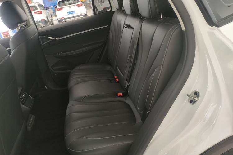 Used Roewe RX5 MAX 2022 1.5T Automatic Youwei Luxury Edition Left Rear Seat