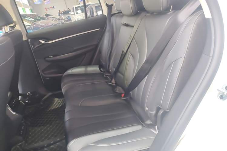 Used Roewe RX5 MAX 2022 1.5T Automatic Youwei Luxury Edition Left Rear Seat