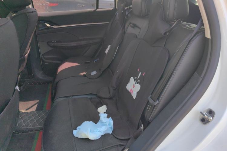 Used Roewe RX5 MAX 2022 1.5T Automatic Youwei Luxury Edition Left Rear Seat