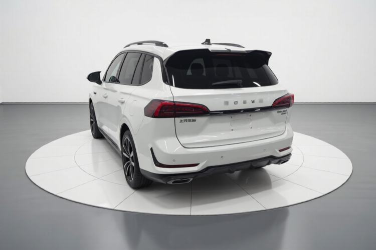 Used Roewe RX5 MAX 2022 1.5T Automatic Youwei Luxury Edition Rear