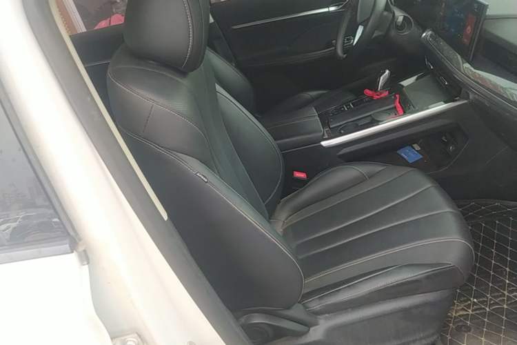 Used Roewe RX5 MAX 2022 1.5T Automatic Youwei Luxury Edition Right Front Seat