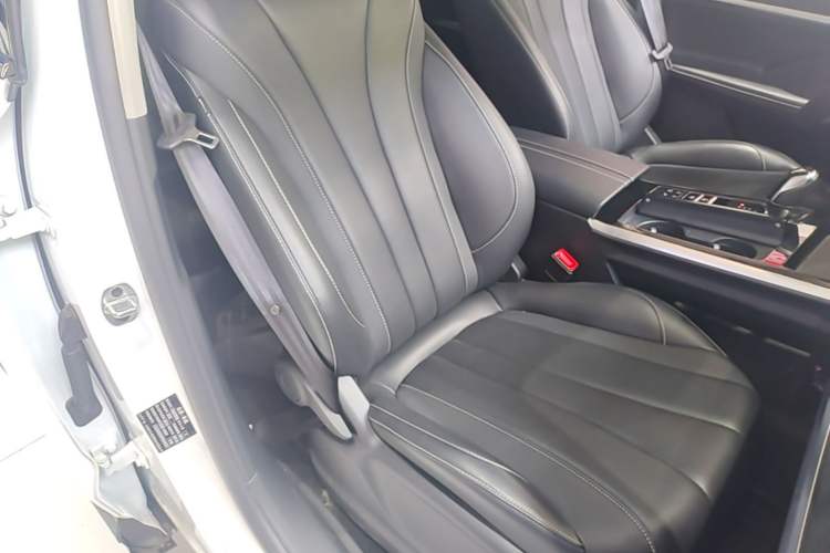 Used Roewe RX5 MAX 2022 1.5T Automatic Youwei Luxury Edition Right Front Seat