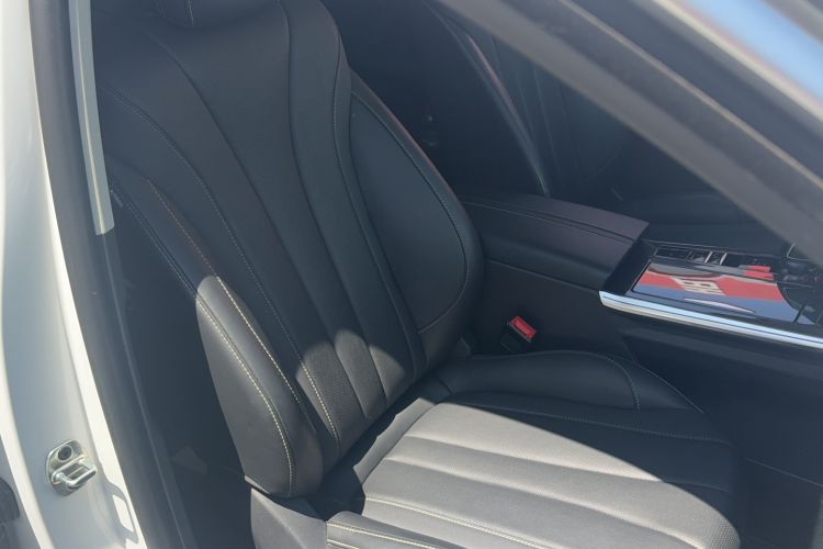 Used Roewe RX5 MAX 2022 1.5T Automatic Zhiwei Prestige Edition Right Front Seat