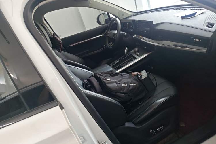 Used Roewe RX5 MAX 2022 1.5T Automatic Zhiwei Prestige Edition Right Front Seat