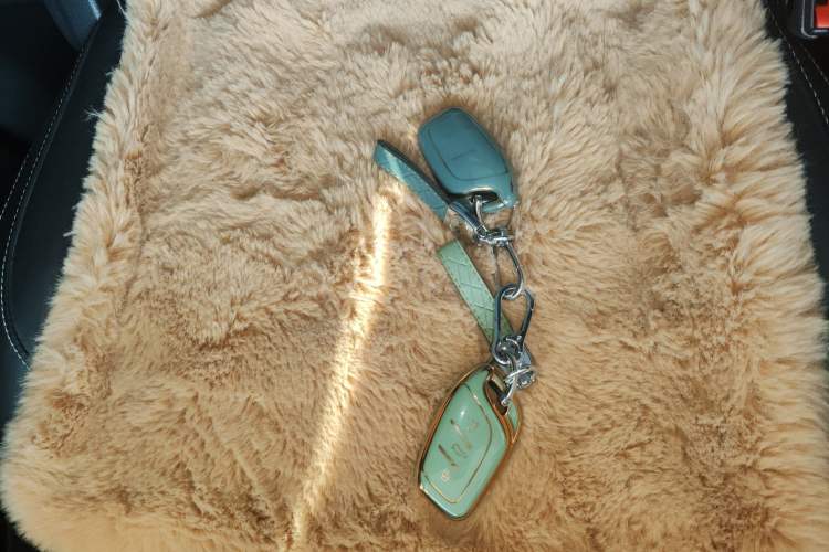 Used Roewe RX5 MAX 2022 1.5T Automatic Youwei Luxury Edition Vehicle Key