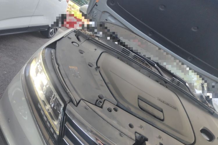 Used Roewe RX5 New Energy 2017 ERX5 EV400 Electric Internet Supreme Edition Engine Bay Right