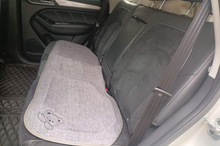 Used Roewe RX5 New Energy 2017 ERX5 EV400 Electric Internet Supreme Edition Left Rear Seat