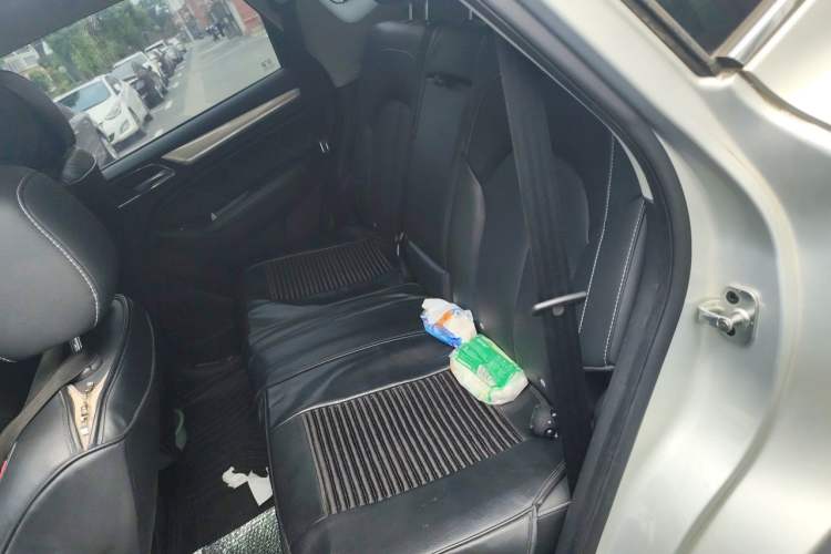Used Roewe RX5 New Energy 2017 ERX5 EV400 Electric Internet Flagship Edition Left Rear Seat