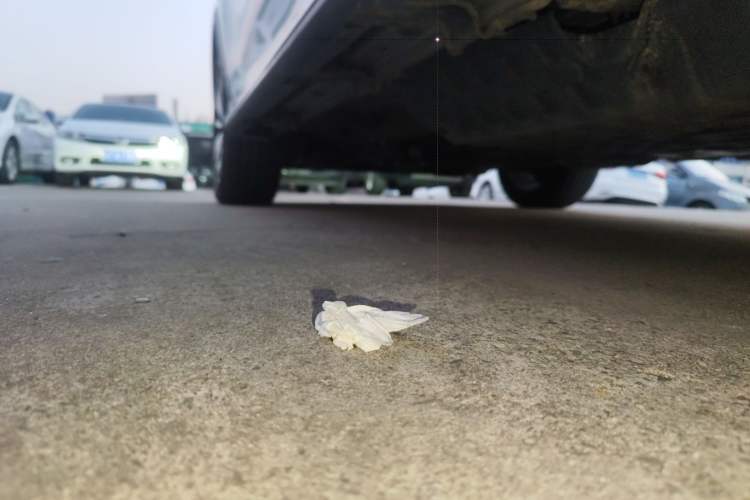 Used Roewe RX5 New Energy 2017 eRX5 50T Hybrid Connected Prestige Flagship Edition Left Side Sill