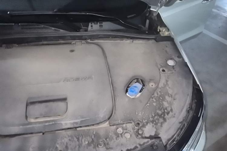 Used Roewe RX5 New Energy 2017 ERX5 EV400 Electric Internet Supreme Edition Engine Bay Left