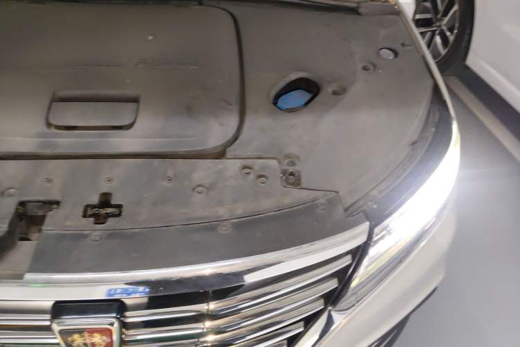 Used Roewe RX5 New Energy 2017 ERX5 EV400 Electric Internet Flagship Edition Engine Bay Left