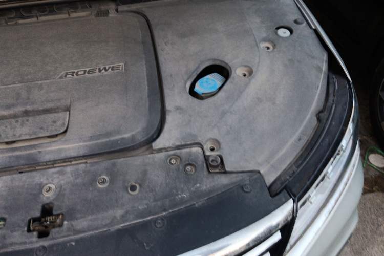 Used Roewe RX5 New Energy 2017 ERX5 EV400 Electric Internet Supreme Edition Engine Bay Left
