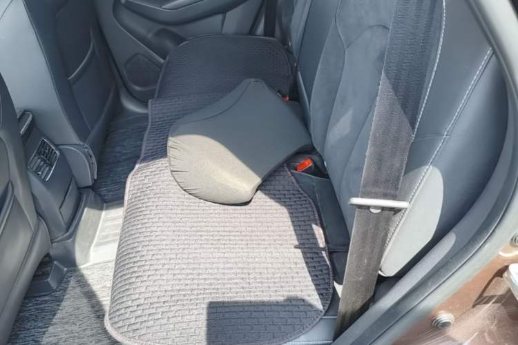 Used Roewe RX5 New Energy 2017 eRX5 50T Hybrid Connected Prestige Flagship Edition Left Rear Seat