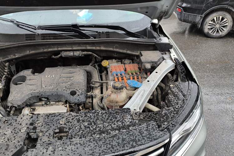 Used Roewe RX5 New Energy 2017 eRX5 50T Hybrid Connected Prestige Flagship Edition Engine Bay Left