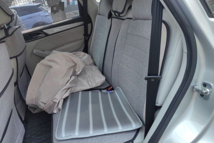 Used Roewe RX5 New Energy 2017 ERX5 EV400 Electric Internet Supreme Edition Left Rear Seat