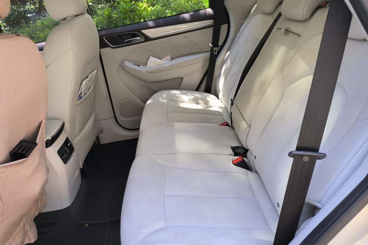 Used Roewe RX5 New Energy 2017 eRX5 50T Hybrid Connected Prestige Flagship Edition Left Rear Seat
