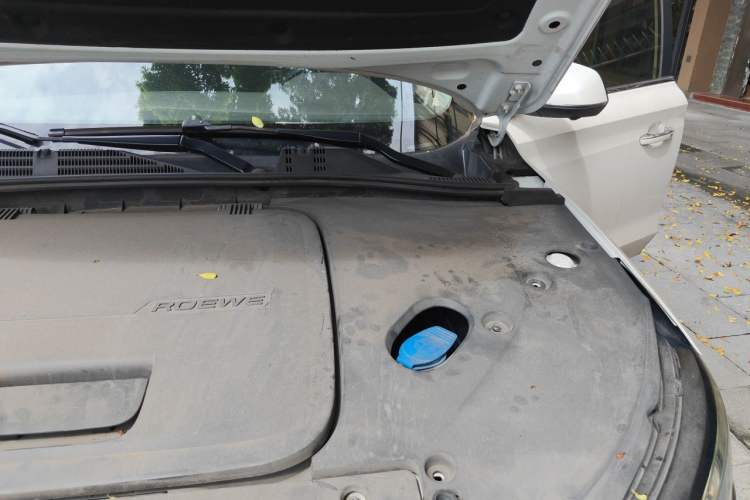 Used Roewe RX5 New Energy 2017 ERX5 EV400 Electric Internet Supreme Edition Engine Bay Left