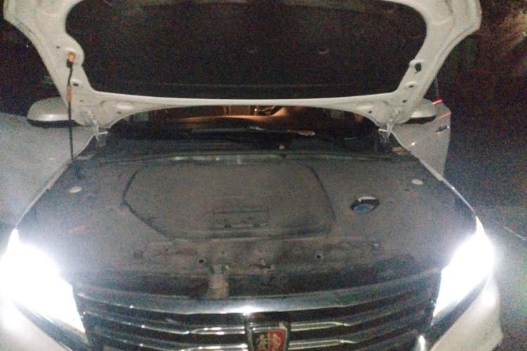 Used Roewe RX5 New Energy 2017 ERX5 EV400 Electric Internet Supreme Edition Engine Bay