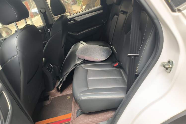 Used Roewe RX5 New Energy 2017 eRX5 50T Hybrid Connected Prestige Flagship Edition Left Rear Seat