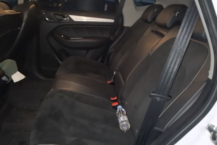 Used Roewe RX5 New Energy 2017 ERX5 EV400 Electric Internet Supreme Edition Left Rear Seat