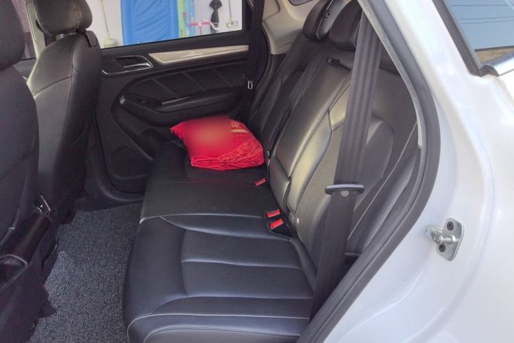 Used Roewe RX5 New Energy 2017 ERX5 EV400 Electric Internet Luxury Edition Left Rear Seat