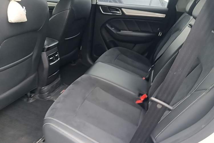 Used Roewe RX5 New Energy 2017 eRX5 50T Hybrid Connected Prestige Flagship Edition Left Rear Seat