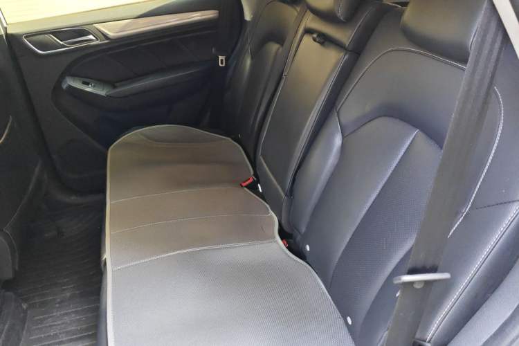 Used Roewe RX5 New Energy 2017 ERX5 EV400 Electric Internet Luxury Edition Left Rear Seat