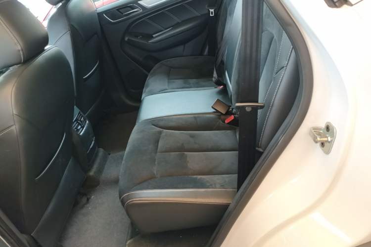 Used Roewe RX5 New Energy 2017 eRX5 50T Hybrid Connected Prestige Flagship Edition Left Rear Seat