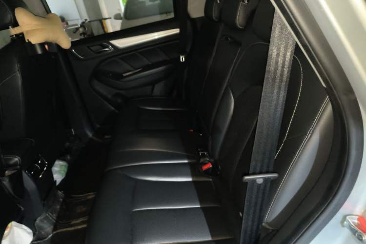 Used Roewe RX5 New Energy 2018 eRX5 50T Hybrid Luxury Edition Left Rear Seat