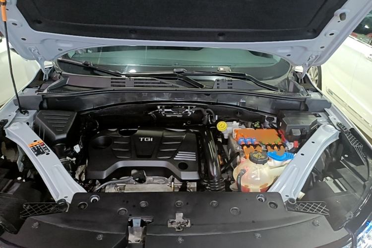Used Roewe RX5 New Energy 2019 eRX5 50T Internet-Enhanced Flagship Edition Engine Bay