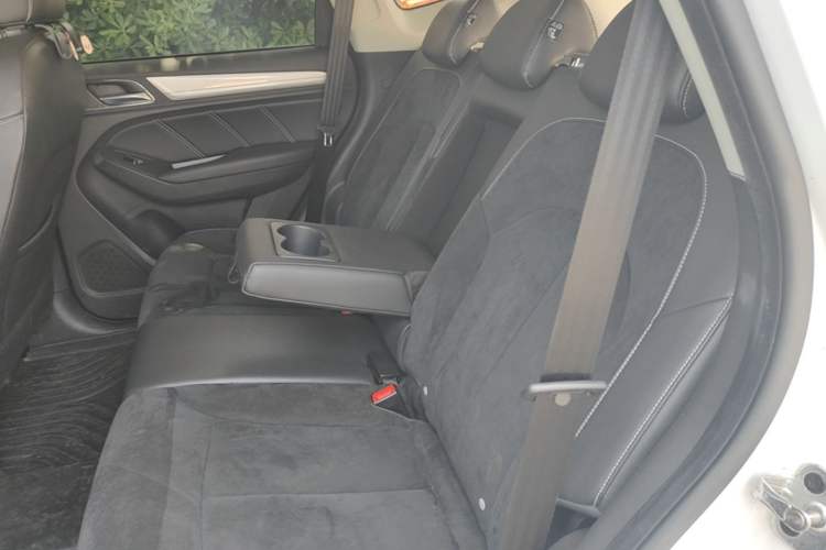 Used Roewe RX5 New Energy 2019 eRX5 50T Internet Superior Smart Edition Left Rear Seat