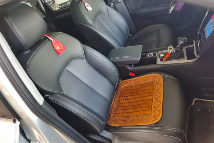 Used Roewe RX5 New Energy 2019 eRX5 50T 4G Connected Excellence Edition Right Front Seat