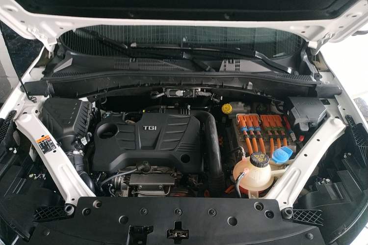 Used Roewe RX5 New Energy 2019 eRX5 50T Internet Superior Smart Edition Engine Bay