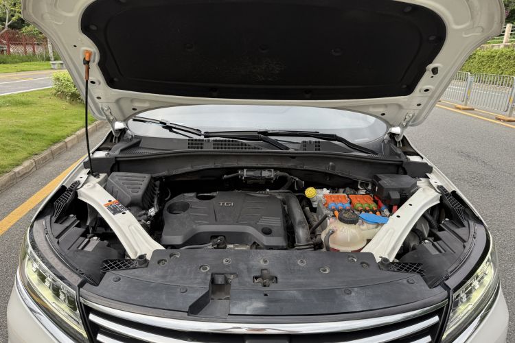 Used Roewe RX5 New Energy 2019 eRX5 50T Internet-Enhanced Flagship Edition Engine Bay