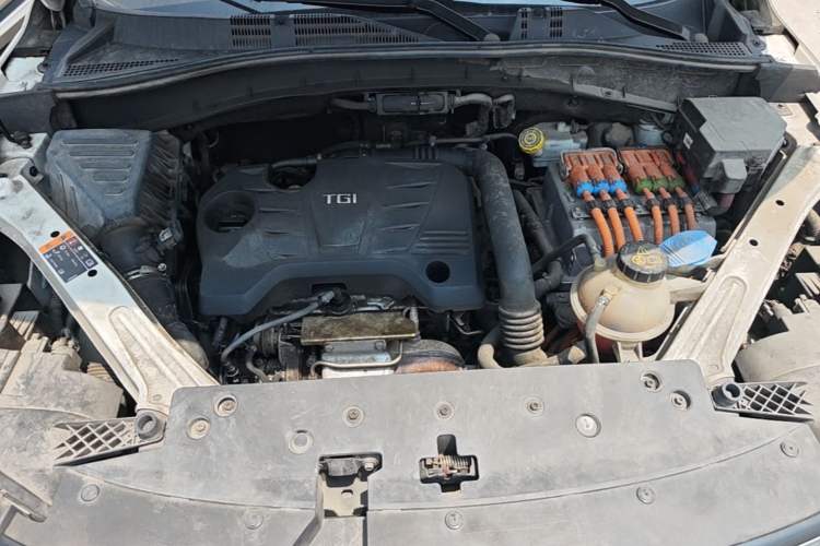 Used Roewe RX5 New Energy 2019 eRX5 50T Internet-Enhanced Flagship Edition Engine Bay