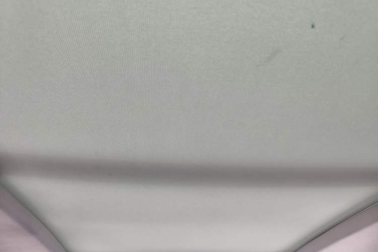 Used Roewe RX5 New Energy 2019 eRX5 50T 4G Connected Excellence Edition Headliner