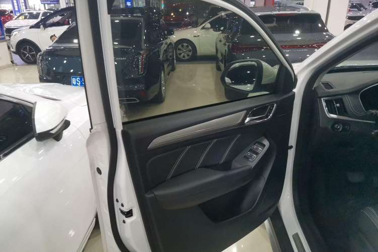 Used Roewe RX5 New Energy 2019 eRX5 50T Internet-Enhanced Flagship Edition Left Front Door Interior