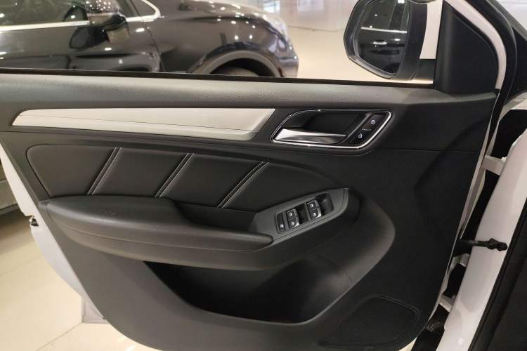 Used Roewe RX5 New Energy 2019 eRX5 50T Internet-Enhanced Flagship Edition Left Front Door Interior