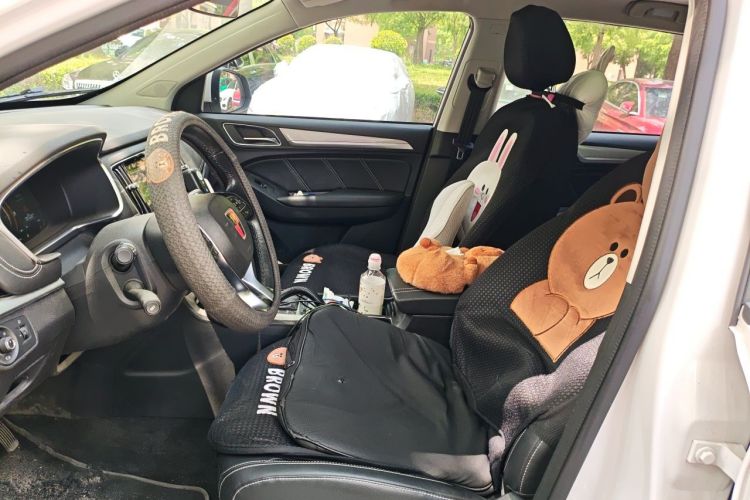 Used Roewe RX5 New Energy 2019 eRX5 50T Internet-Enhanced Flagship Edition Left Front Seat