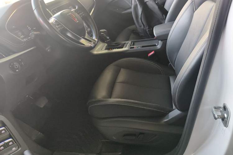 Used Roewe RX5 New Energy 2019 eRX5 50T Internet-Enhanced Flagship Edition Left Front Seat