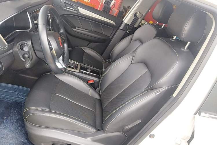 Used Roewe RX5 New Energy 2019 eRX5 50T Internet-Enhanced Flagship Edition Left Front Seat