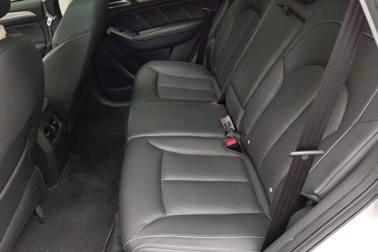 Used Roewe RX5 New Energy 2019 eRX5 50T Internet-Enhanced Flagship Edition Left Rear Seat