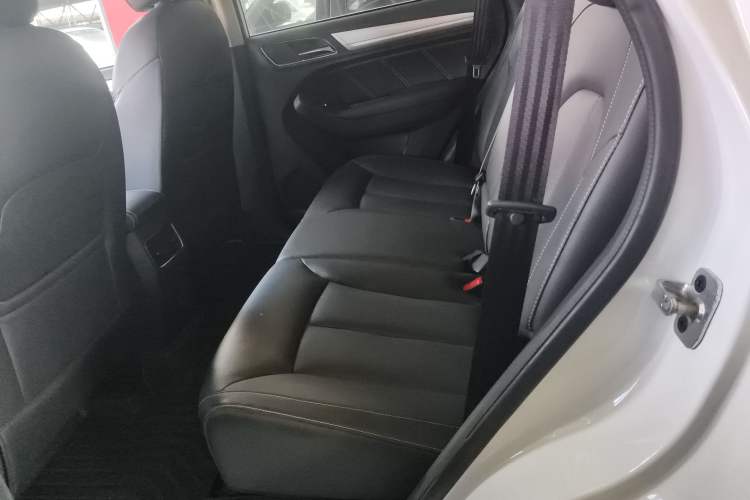 Used Roewe RX5 New Energy 2019 eRX5 50T Internet-Enhanced Flagship Edition Left Rear Seat