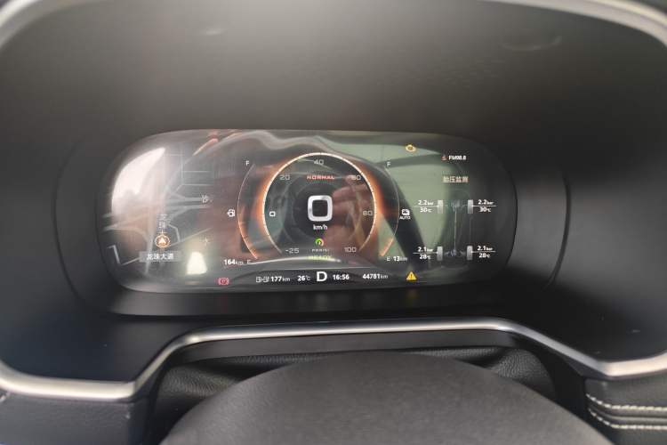Used Roewe RX5 New Energy 2019 eRX5 50T Internet-Enhanced Flagship Edition Odometer Close Up