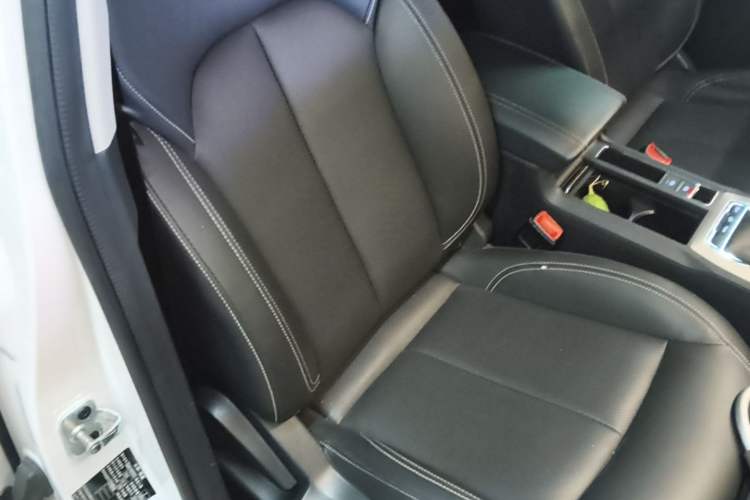 Used Roewe RX5 New Energy 2019 eRX5 50T Internet-Enhanced Flagship Edition Right Front Seat
