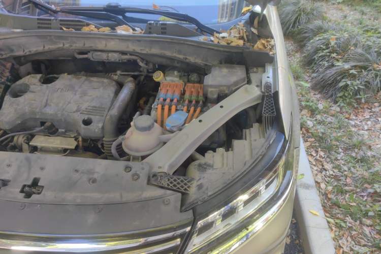Used Roewe RX5 New Energy 2019 eRX5 50T 4G Connected Excellence Edition Engine Bay Left