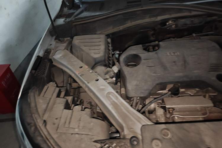 Used Roewe RX5 New Energy 2019 eRX5 50T 4G Connected Excellence Edition Engine Bay Right